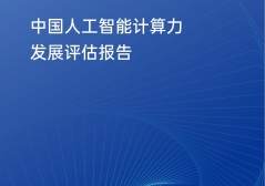 2025年中国人工智能计算力发展评估报告