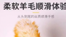 淘宝“问大家”专区神回复，笑得我满地找头
