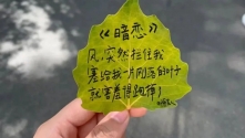 小红书潦草文案，松弛感满分！