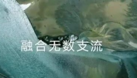 华为Mate60宣传片，太震撼了！
