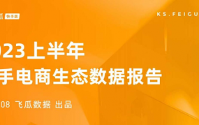 2023上半年快手电商生态数据报告