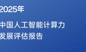 2025年中国人工智能计算力发展评估报告