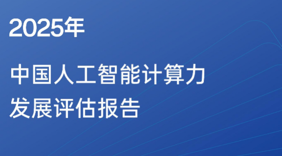 2025年中国人工智能计算力发展评估报告