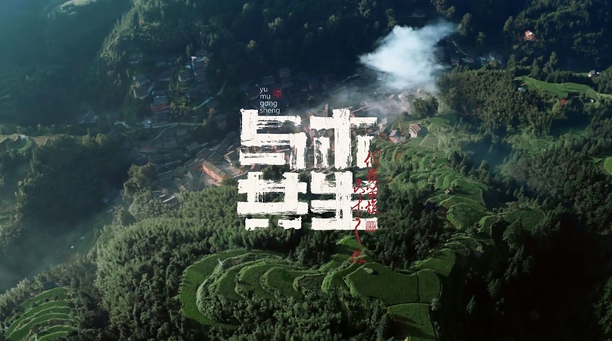 微信截图_20240930161006.png
