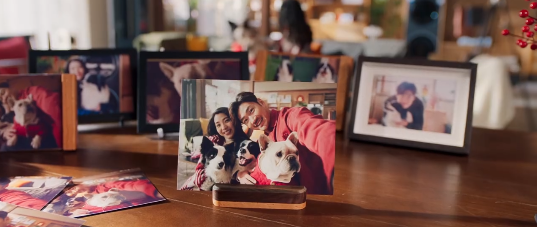 被卡萨帝的片子破防了，原来团圆还可以这样定义