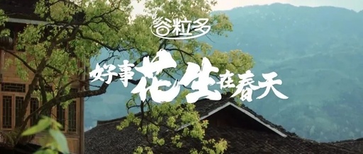 谷粒多一段春日文案，饱含希冀