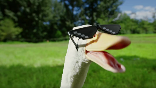 美团卤味广告，有被冒犯到！