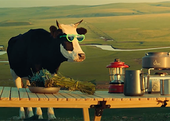 金典抓马喜剧致敬经典电影，真的“好牛”！