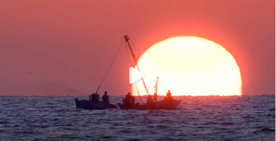 bilibili 邀请你看 44 场日落