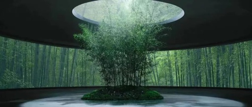 舍得酒业大片《我是时间》: 揭秘一瓶老酒的“时间观”