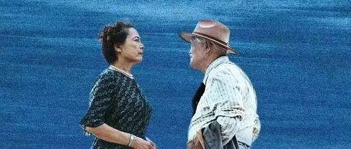 小度年度催泪大片