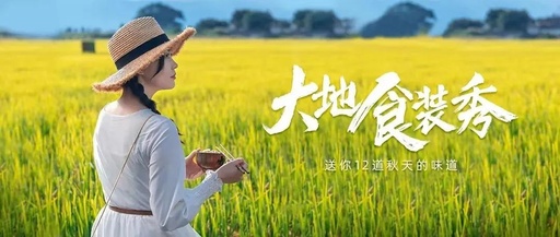 小熊电器与年轻人的双向奔赴