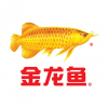 金龙鱼