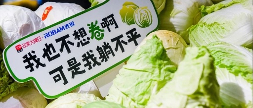 老板电器的菜市场文学展，文案好有烟火气！