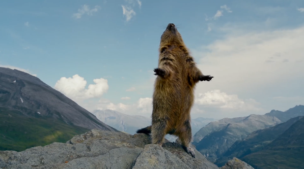 1614568202571217.png 微信截图_20210301110951.png