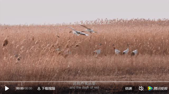 1614568606443212.png 微信截图_20210301111605.png