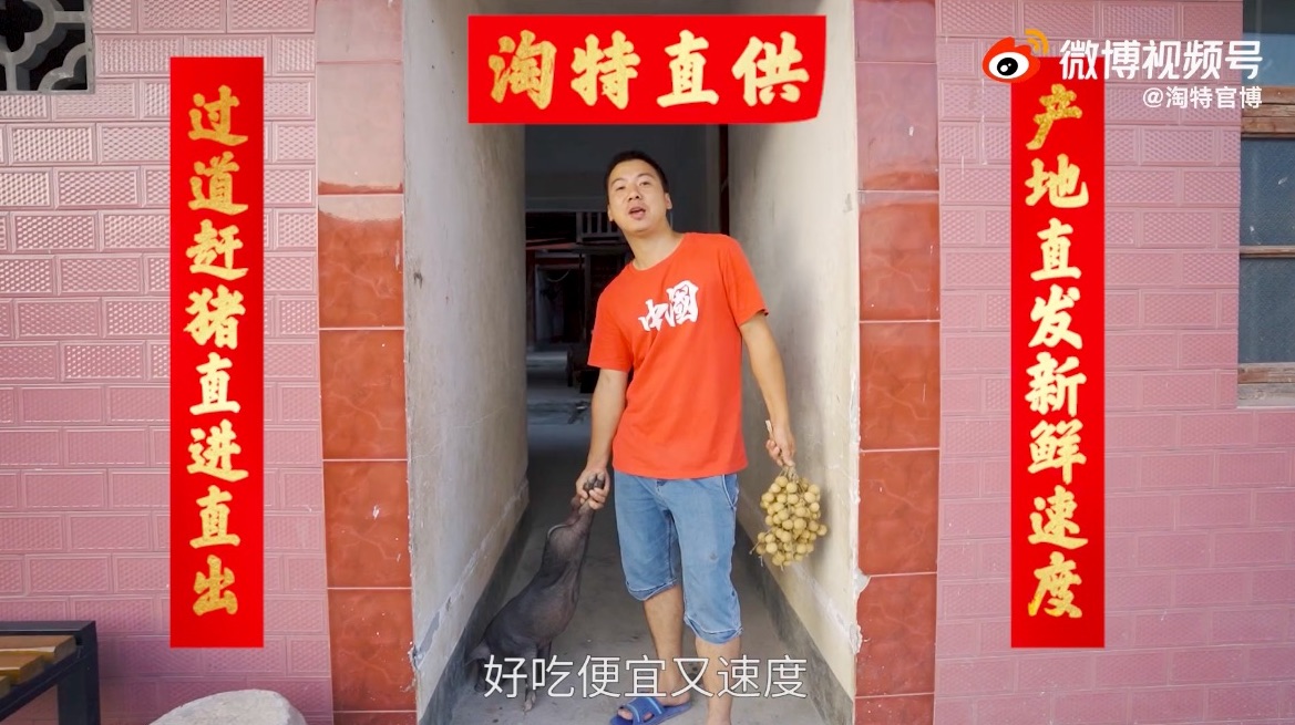 淘特：手工耿×华农兄弟，见证“农耿时代”到来