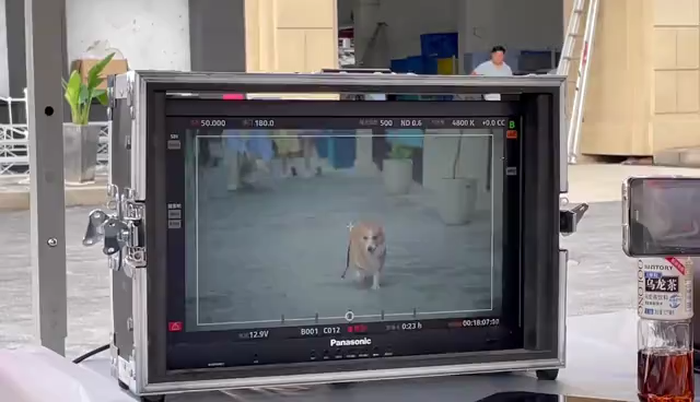 未可×欧阳娜娜：今天晚上，做一场飘浮歌舞剧的梦吧