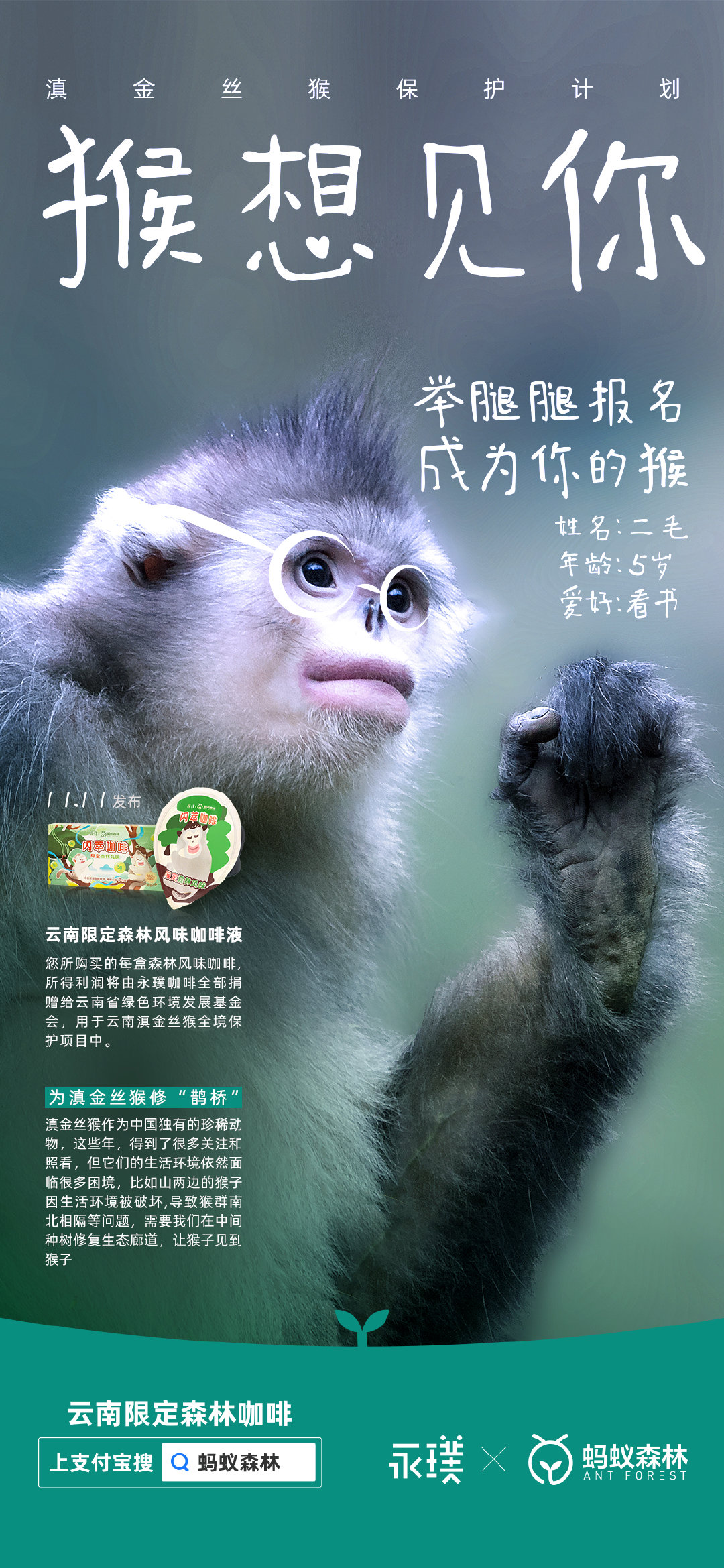 永璞咖啡×蚂蚁森林给滇金丝猴办了一场相亲大会 永璞咖啡×蚂蚁森林给滇金丝猴办了一场相亲大会