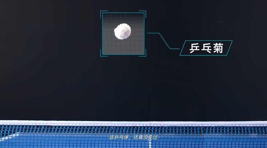 夸克×许昕：这一拍绝了