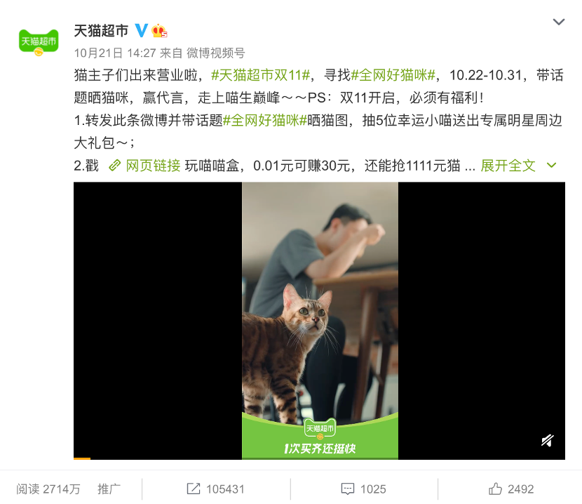 天猫超市双11：猫咪选秀晚会