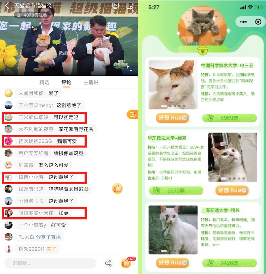 天猫超市双11：猫咪选秀晚会