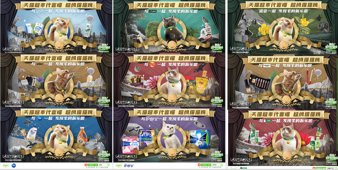 天猫超市双11：猫咪选秀晚会