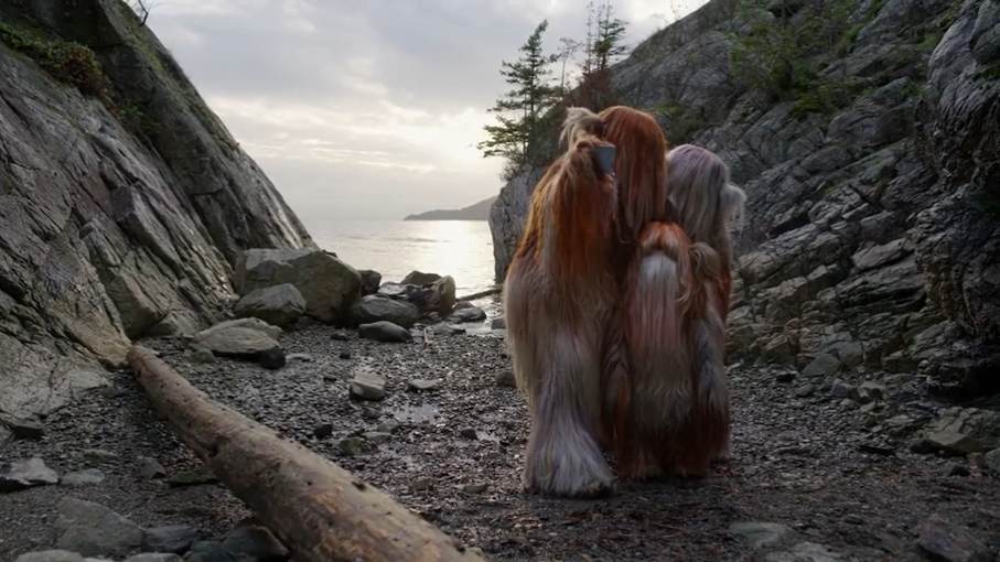 Airbnb 鼓励大家当房东，拍了部“野人入侵”广告