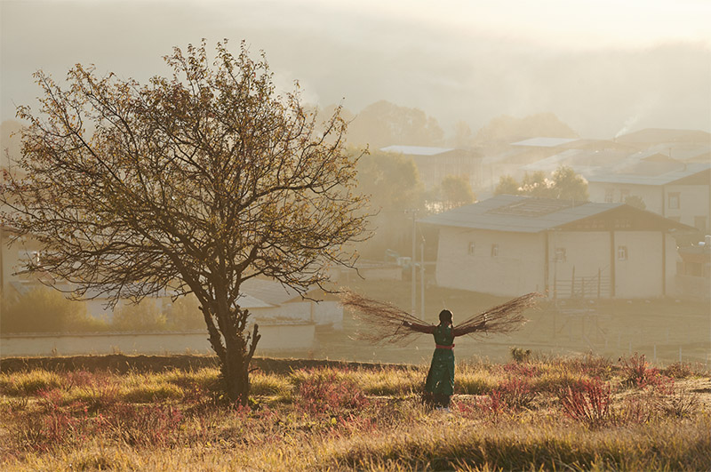 东航×胡歌:守护小女孩的飞行梦 东航×胡歌:守护小女孩的飞行梦