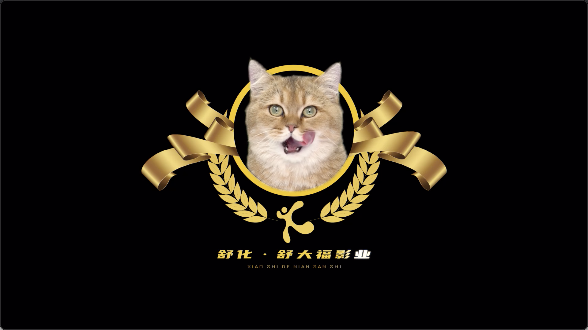 伊利舒化虎年贺岁羊毛毡动画：消失的年三十