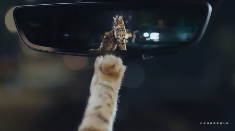 凯迪拉克 国际猫咪日