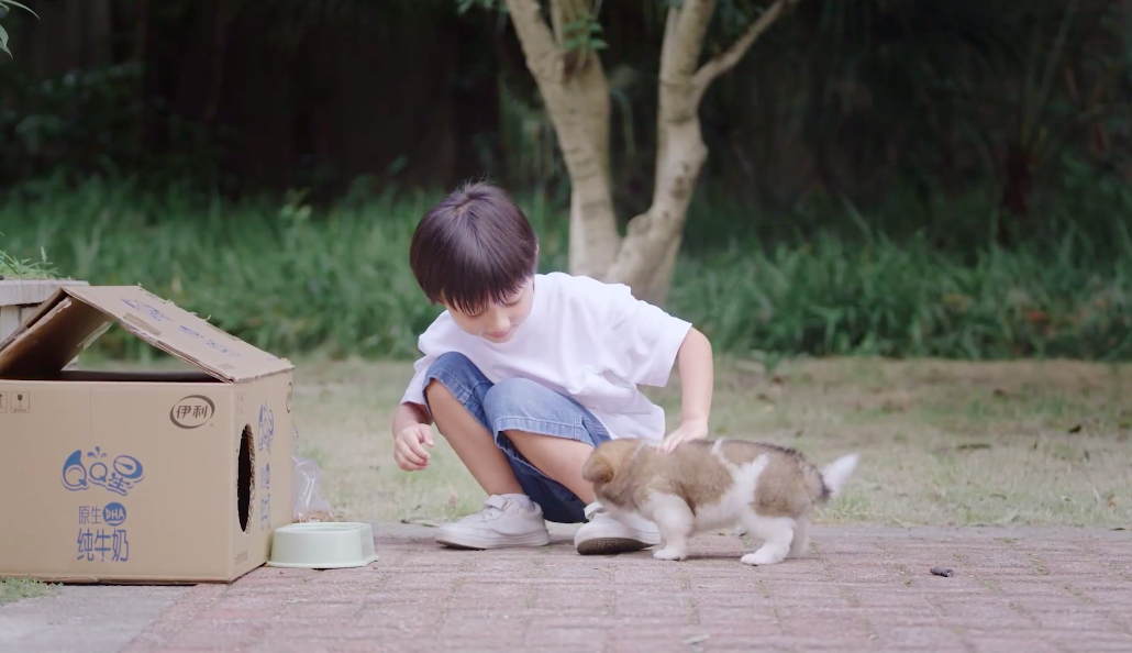 QQ星：给流浪动物一个家