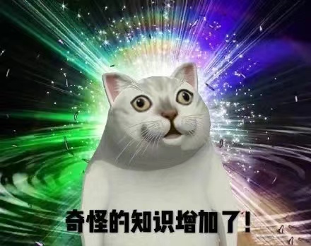 美团跑腿轻喜剧