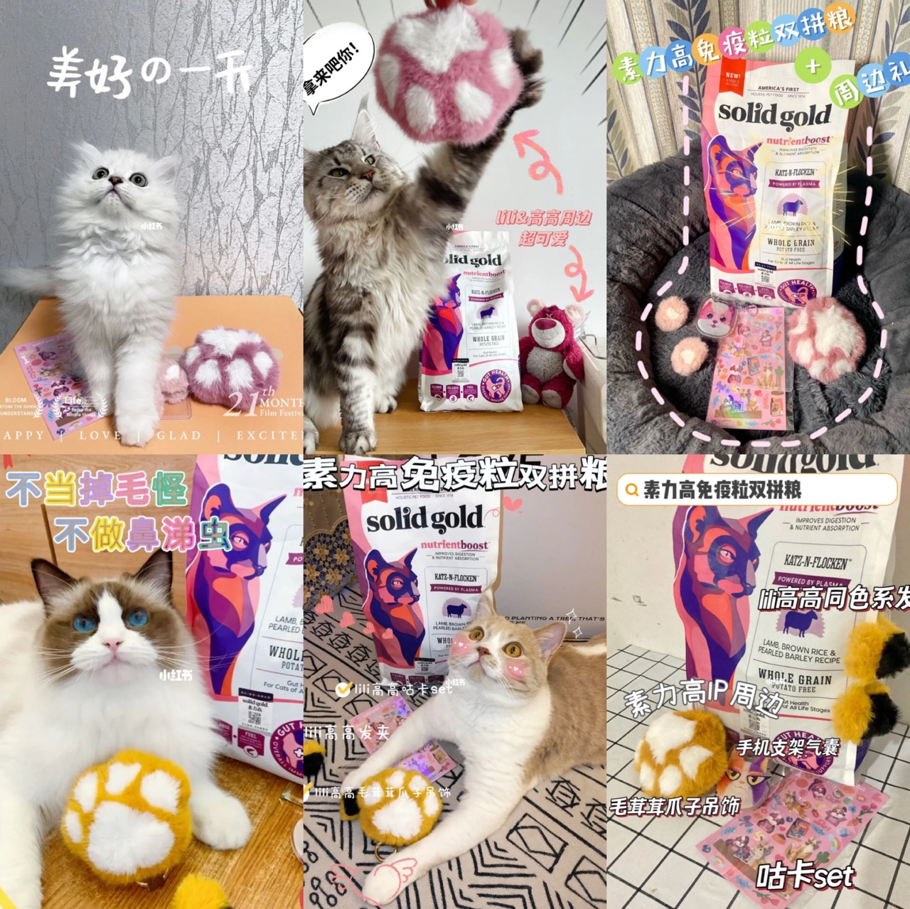 素力高:进军元宇宙!毛茸茸IP热情拥抱Z世代 素力高:进军元宇宙!毛茸茸IP热情拥抱Z世代