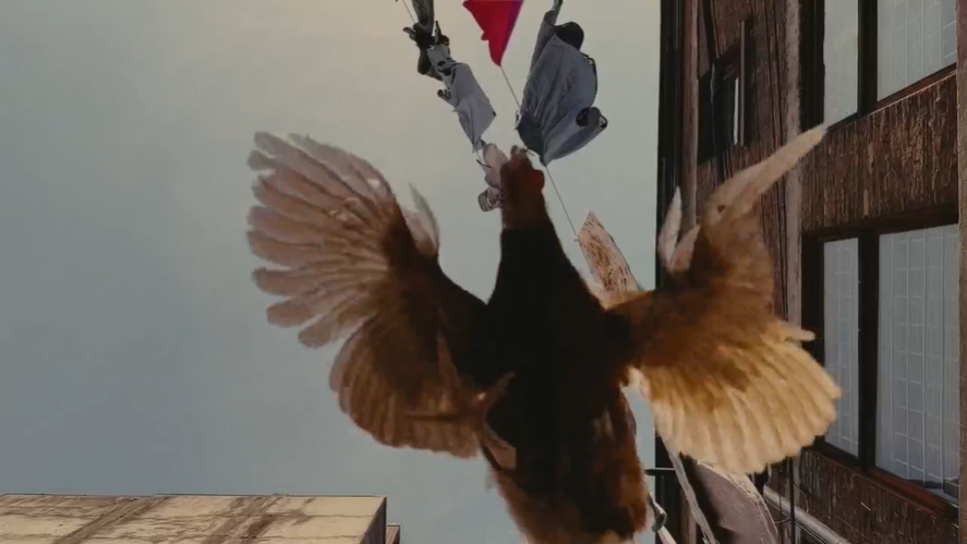 1665384617511915.png 1665384617511915.png