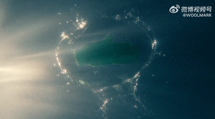 1665986575517459.png 77777.png