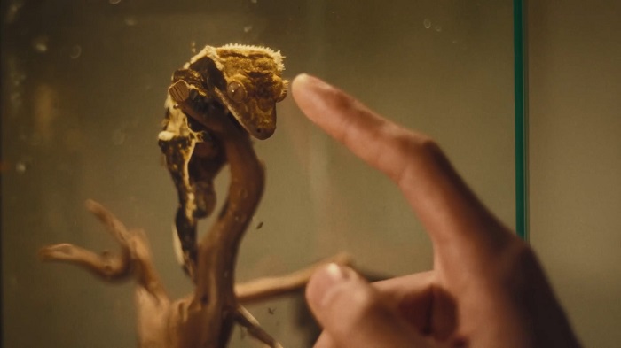 野兽派家居×井柏然：我们本来就是「都市野兽」