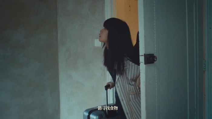 野兽派家居×井柏然：我们本来就是「都市野兽」