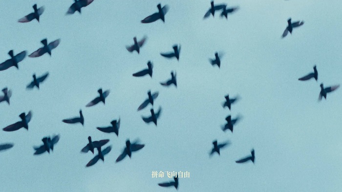 野兽派家居×井柏然：我们本来就是「都市野兽」