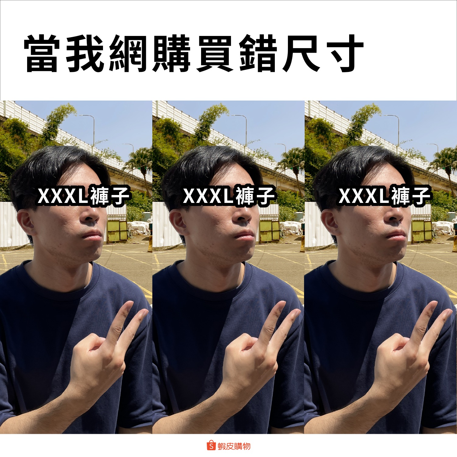 1695040463364759.jpg 1695040463364759.jpg