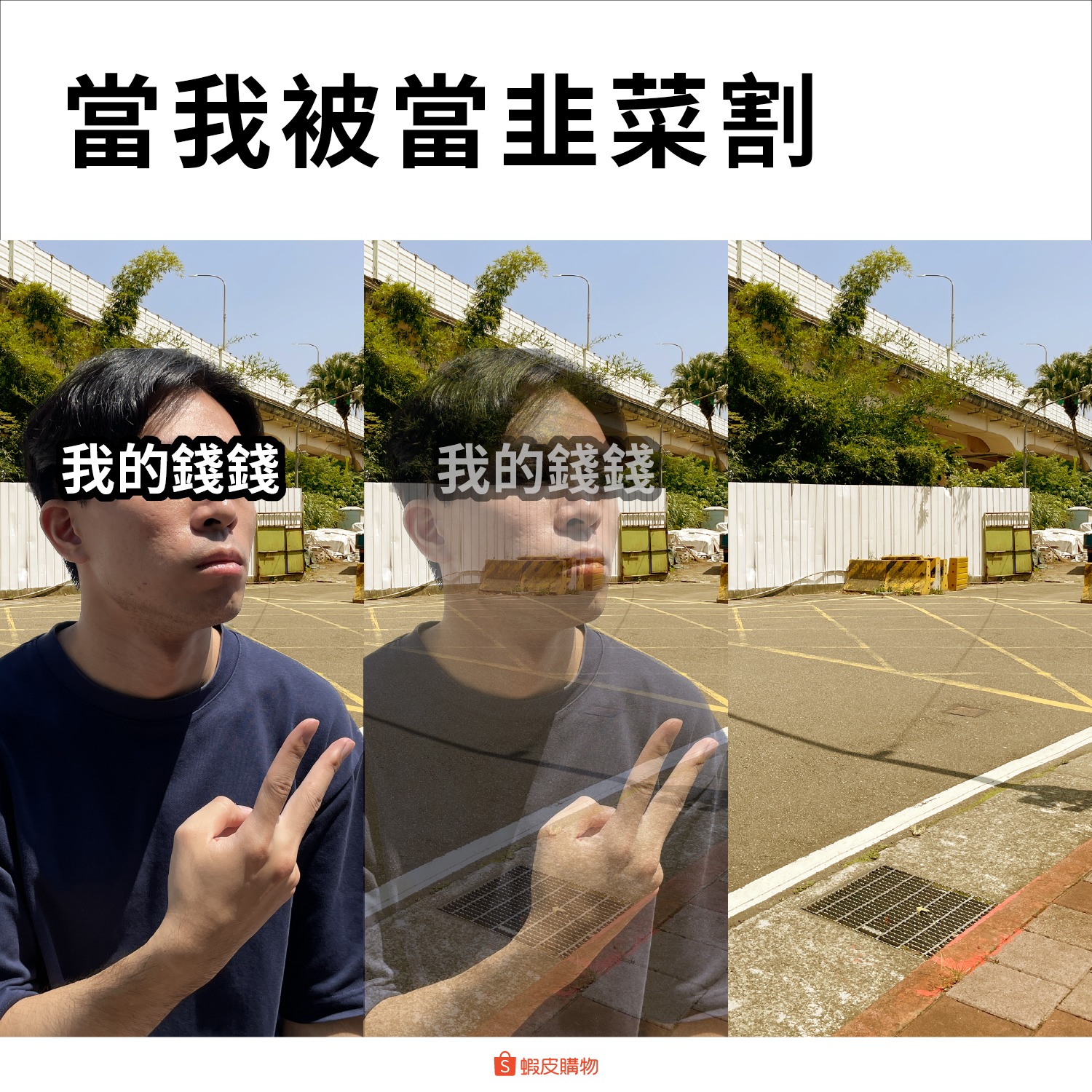 1695040340474473.jpg 1695040340474473.jpg