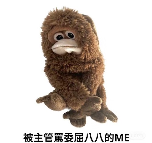 1696850286438255.jpg IMG_3414.JPG