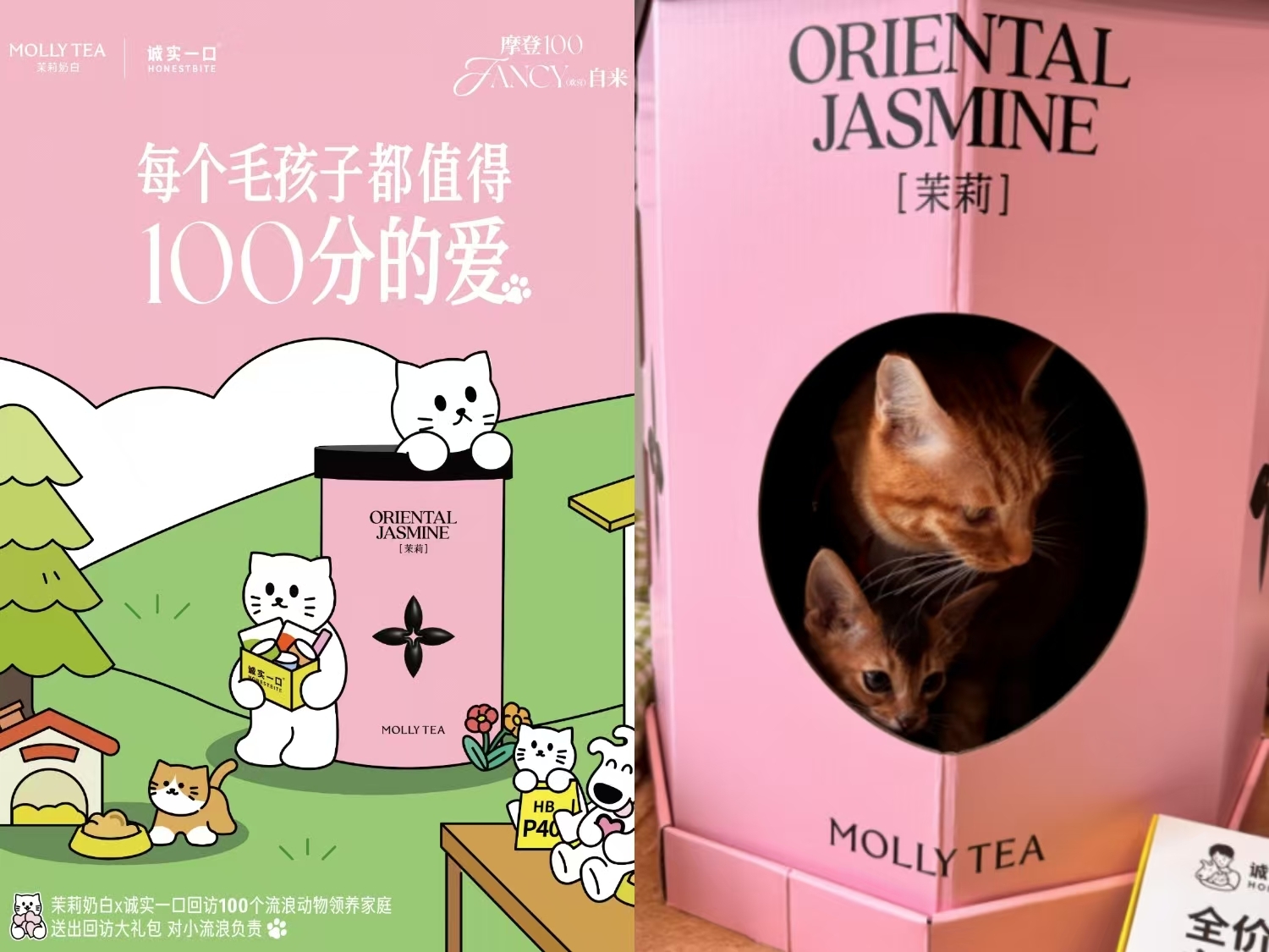 1737082327295353.jpeg 4.jpeg