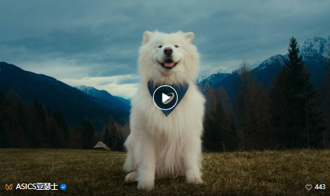 1747387252742055.png image.png