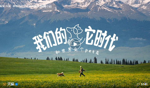 1747387370358259.png image.png