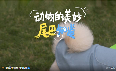 1749203024576678.png image.png