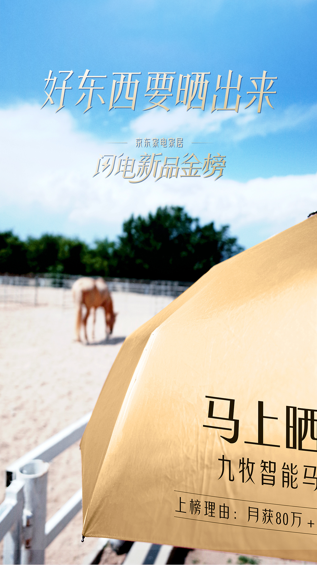 1750040314499515.jpg 1750040314499515.jpg