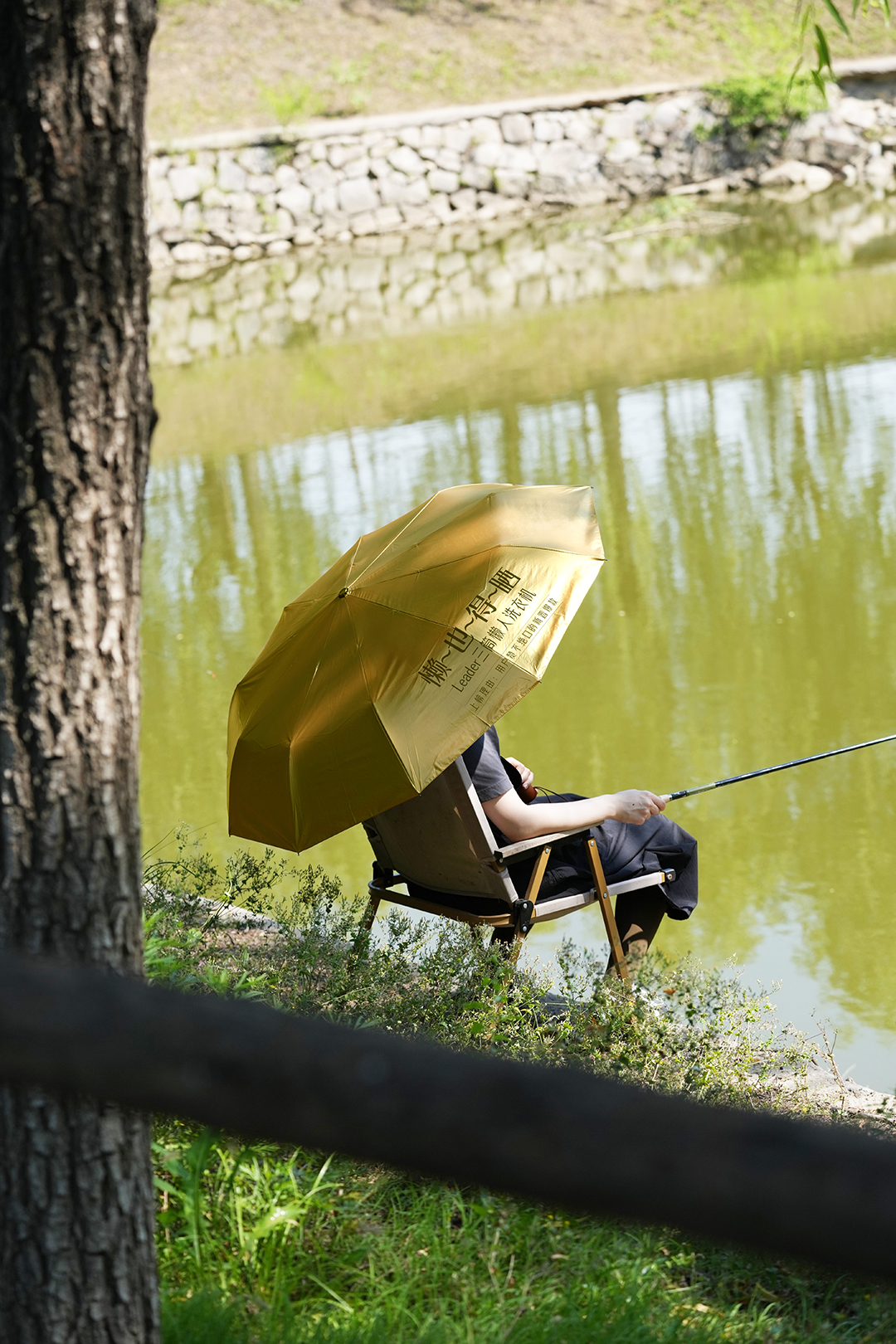 1750041020838524.jpg 1750041020838524.jpg