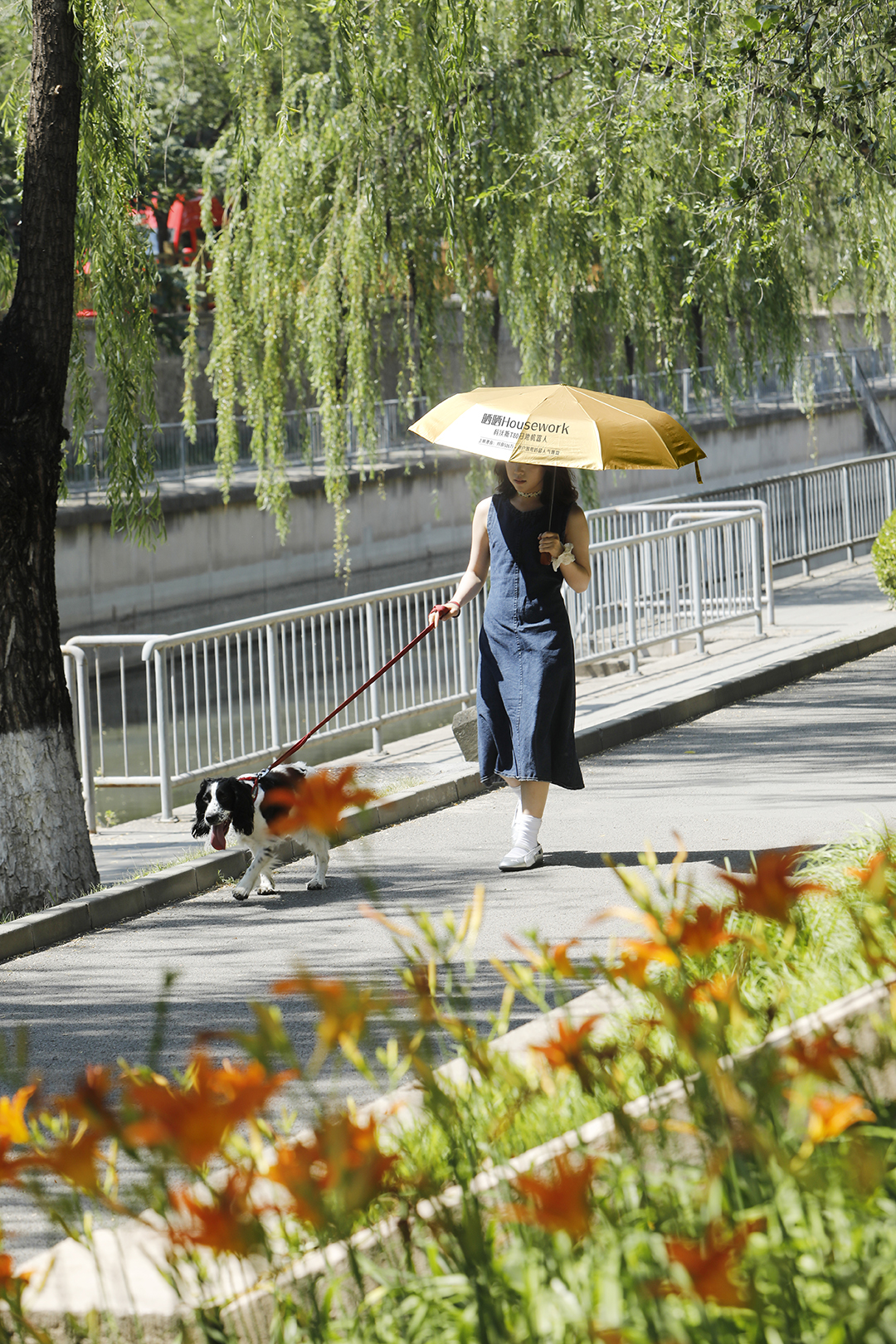 1750041134357185.jpg 1750041134357185.jpg